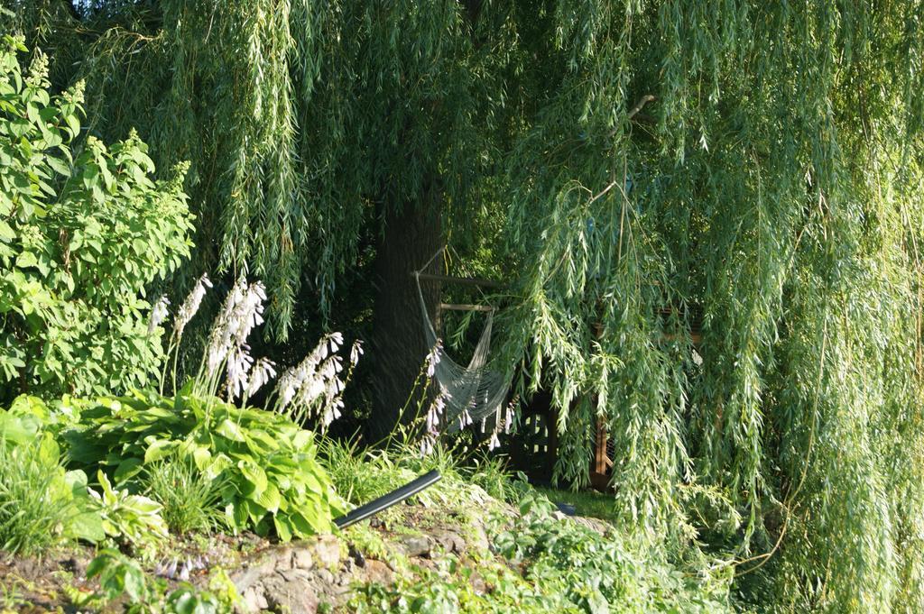לינה וארוחת בוקר Saint-Denis-sur-Richelieu La Belle Aux Berges מראה חיצוני תמונה