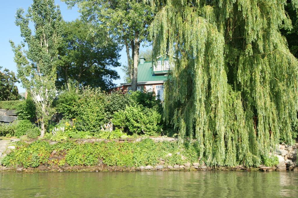 לינה וארוחת בוקר Saint-Denis-sur-Richelieu La Belle Aux Berges מראה חיצוני תמונה